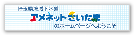 東京アメッシュの埼玉版でゲリラ豪雨に備えよう Webマーケティング ブログ