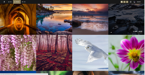 Popular画面では各サービスで人気の写真を表示。